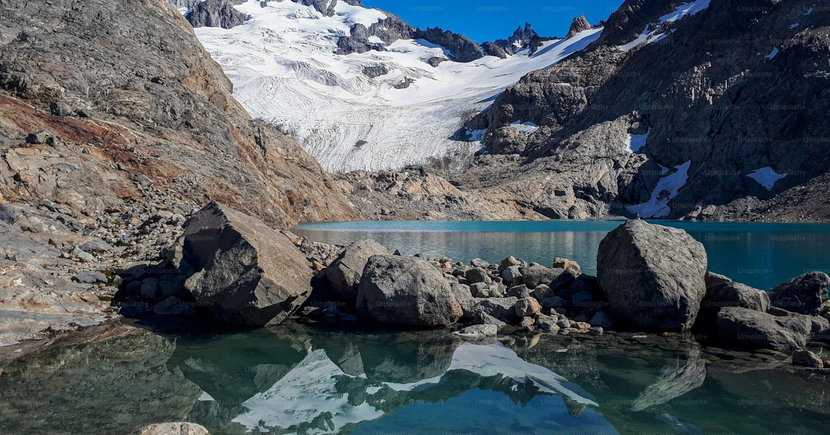 Viajar con mascota a Argentina: requisitos de entrada (2026)