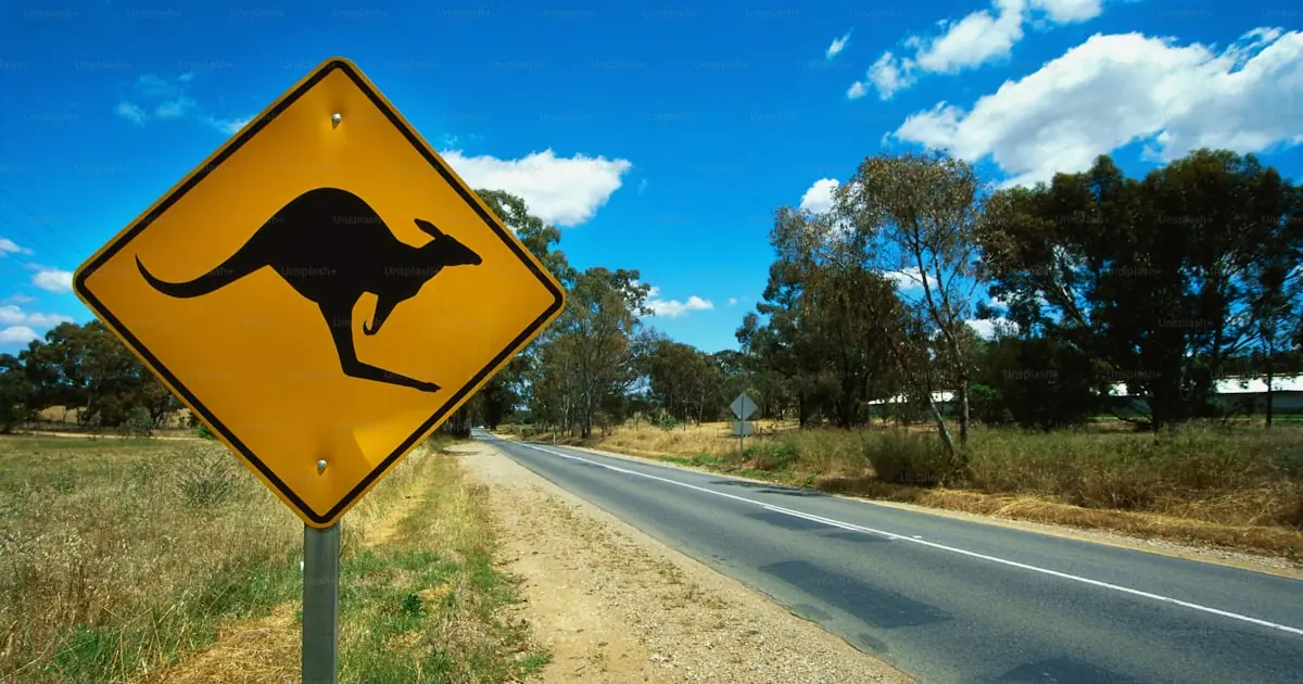 Pet travel to Australia: entry requirements (2026)