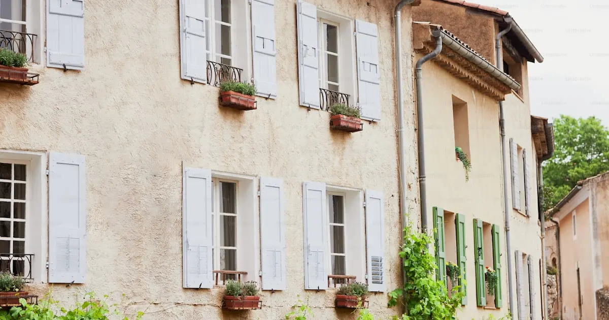 Pet travel to France (EU): entry requirements (2026)