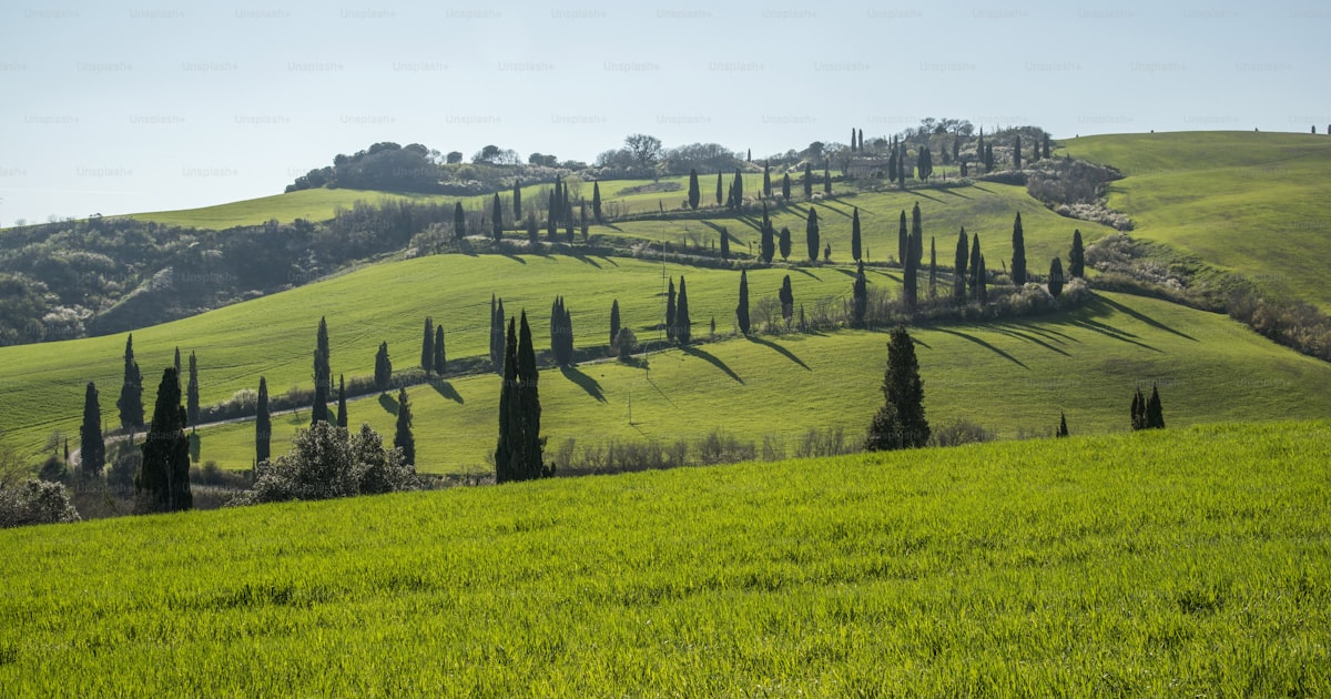 Pet travel to Italy (EU): entry requirements (2026)