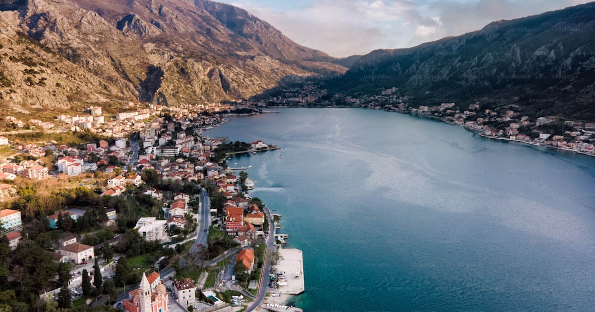 Pet travel to Montenegro: entry requirements (2026)