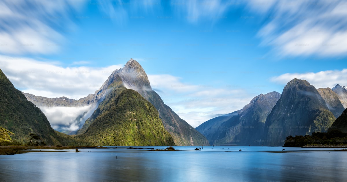 Pet travel to New Zealand: entry requirements (2026)