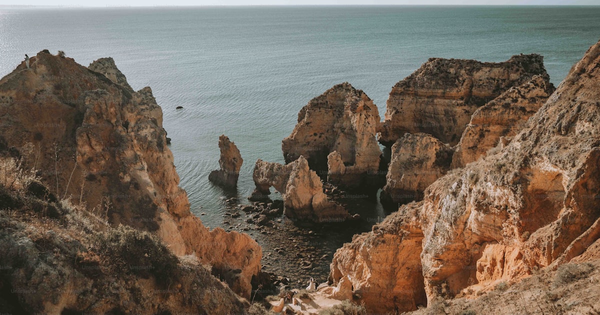 Pet travel to Portugal (EU): entry requirements (2026)