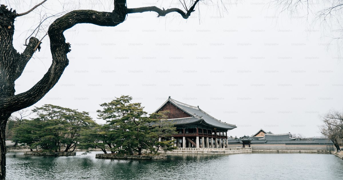 Viajar con mascota a Corea del Sur: requisitos de entrada (2026)