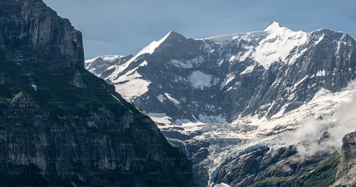 Viajar con mascota a Suiza: requisitos de entrada (2026)